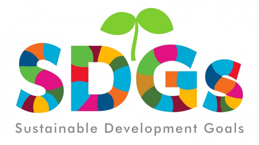 Sustainable Development Goals Sustainable Development Goals